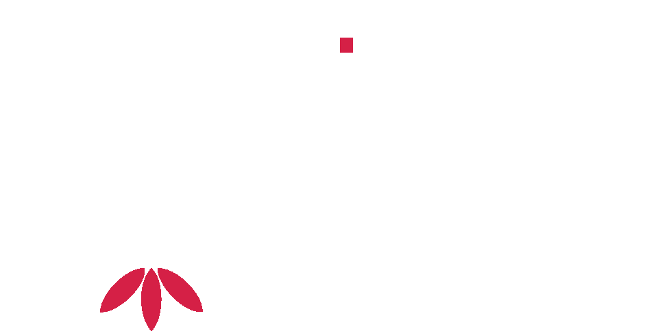 The Experience Spa Logo